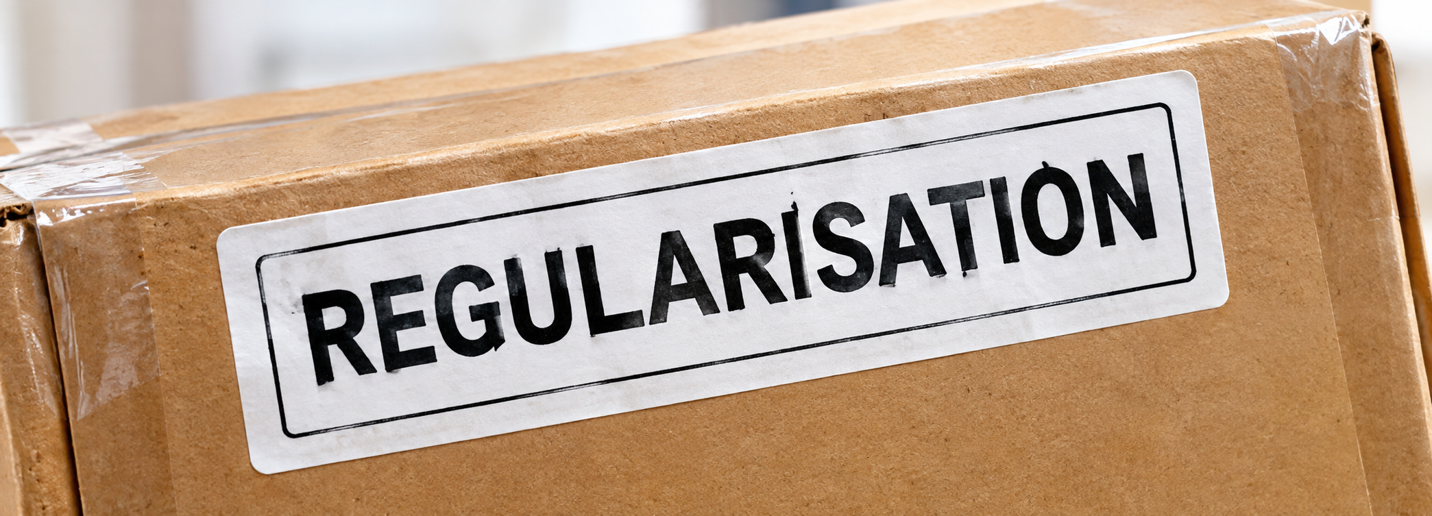 Regularisation of Visa Overstay in India