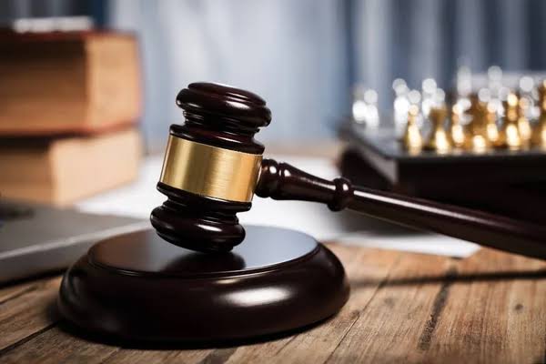 Immigration Litigation